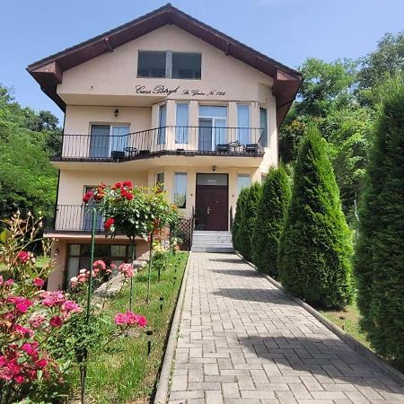 Отель Casa Patryk Оршова Экстерьер фото