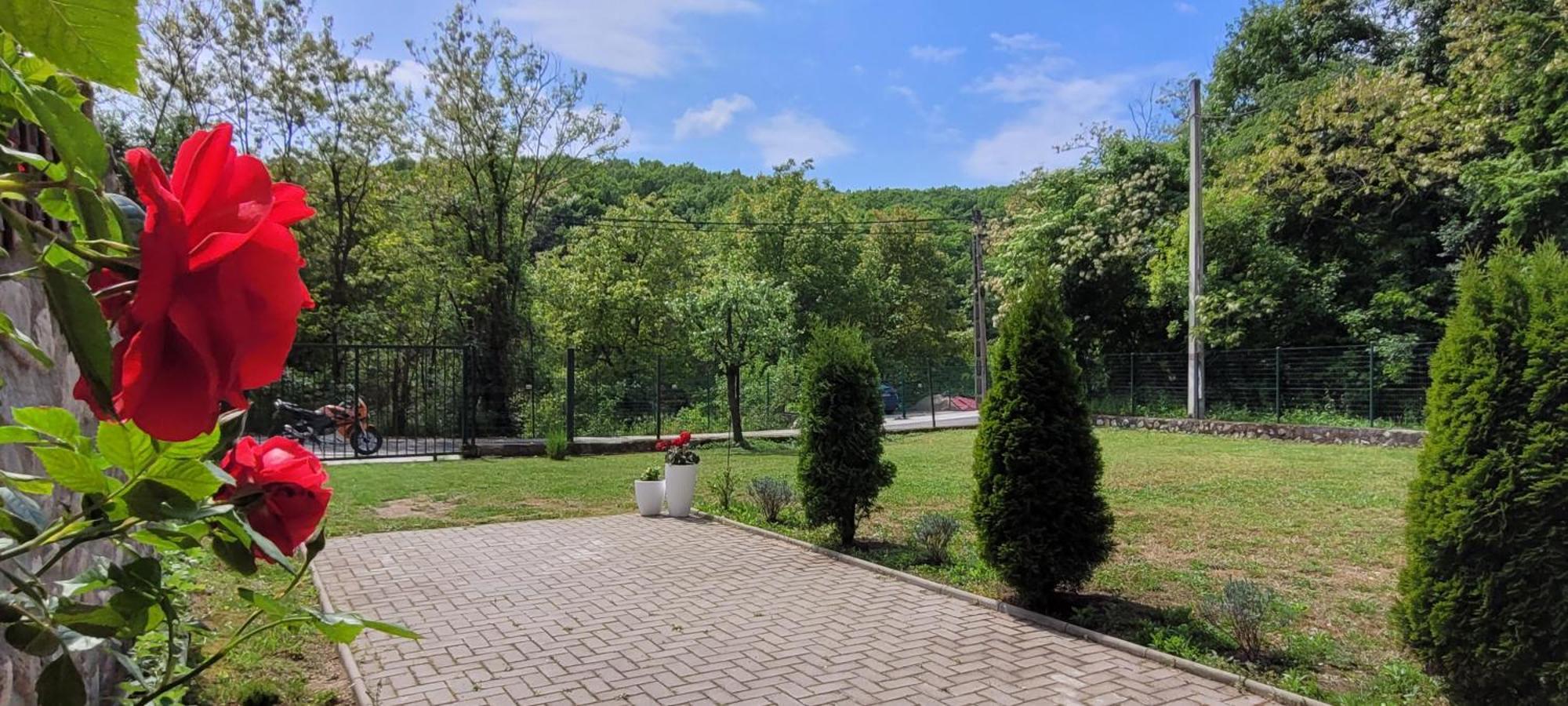 Отель Casa Patryk Оршова Экстерьер фото